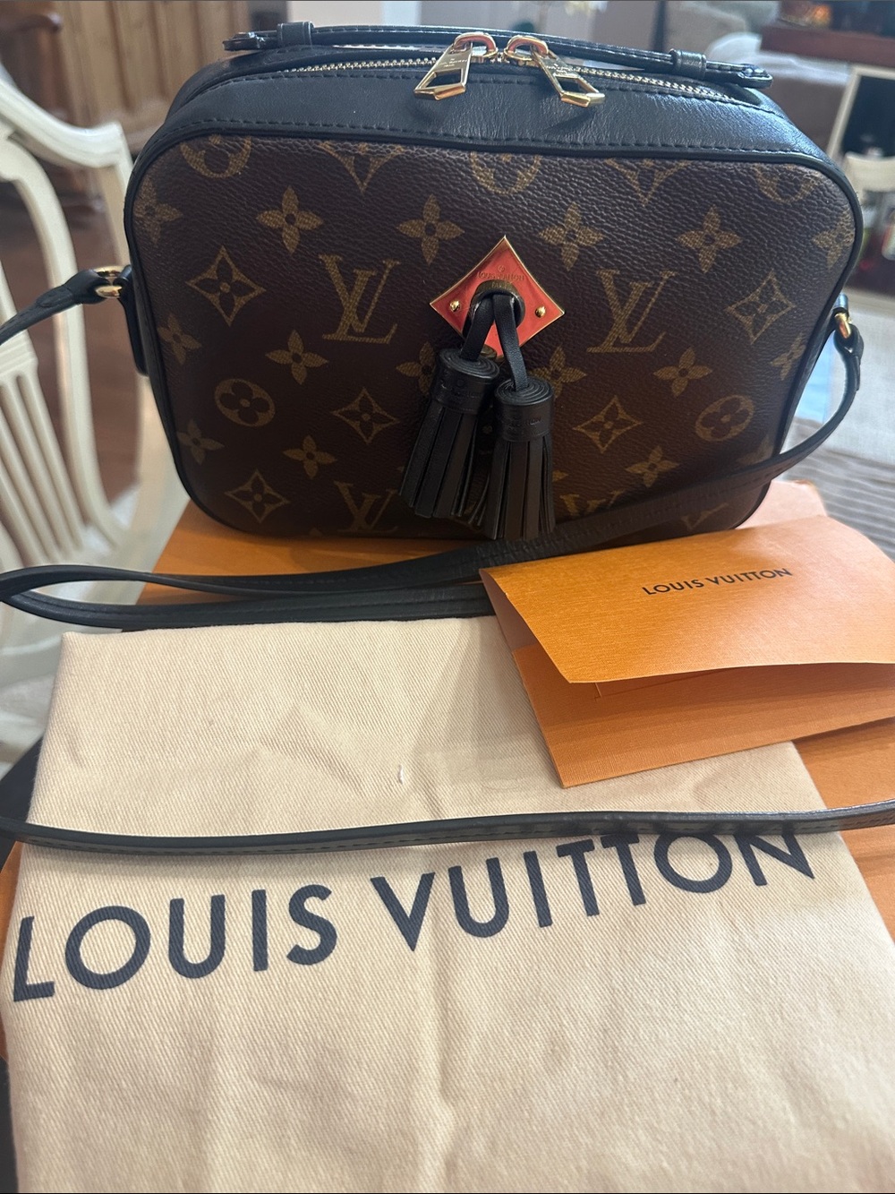 Louis Vuitton Saintonge Brown/Black Monogram Crossbody Camera Bag with Tassels